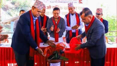 Photo of पोखरा म्याराथनमा ४ लाख ४१ हजार आम्दानी, पुरस्कार राशी बढाउने प्रस्ताव