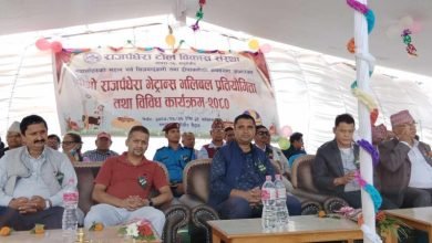 Photo of पोखरा १६ मा राजपँधेरा भेट्रान्स कप भलिवल सुरु