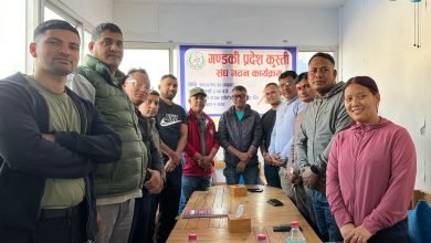 Photo of गण्डकी प्रदेशमा कुस्ती संघ गठन