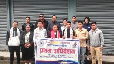 Photo of पोखरा महानगर हाप्किडो संघको अध्यक्षमा थापा