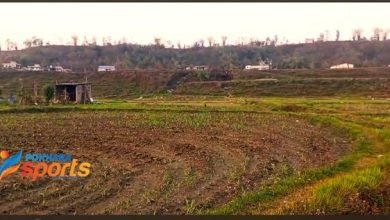 Photo of अन्तर्राष्ट्रिय क्रिकेट रंगशाला निर्माणको प्रक्रिया अघि बढाउँदै मन्त्रालय, सर्च कमिटि गठन