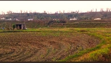 Photo of पोखरा २९ पटनेरीमा अन्तर्राष्ट्रियस्तरको क्रिकेट रंगशाला र कभर्डहल बनाउन सिफारिस