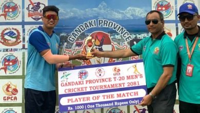 Photo of गण्डकी प्रदेशस्तरीय पुरुष टि–२० क्रिकेट : पर्वतको सान्त्वना जित, फाइनल भोली
