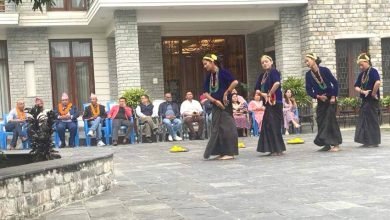 Photo of सहाराको देउसी भैलोमा १२ लाख संकलन