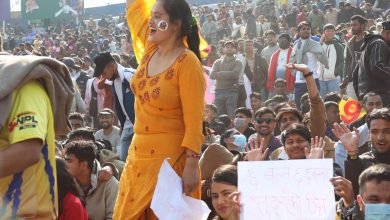 Photo of नेपाल प्रिमियर लिगमा दर्शक : रुखका हाँगाहरुमा समेत दर्शकको कब्जा (तस्विर)