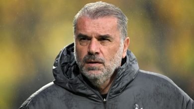 Photo of युरोपा लिग जिताएका टोटनह्यामका प्रशिक्षक पोस्टेकोग्लु बर्खास्त