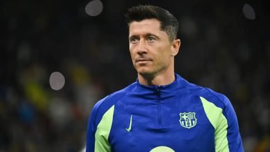 Photo of राष्ट्रिय टिमबाट किन खेल्न मानेनन् लेवानडोस्की ?