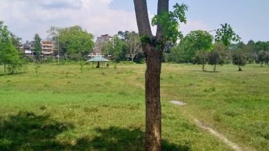 Photo of पोखराको बसुन्धरा पार्क : बन्ला त अन्तर्राष्ट्रिय क्रिकेट स्टेडियम ?