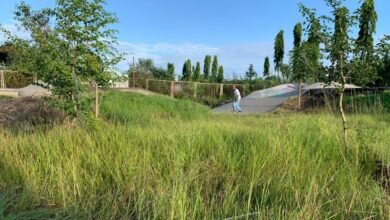 Photo of पोखरा रंगशालाको स्केटपार्क सरसफाई सुरू