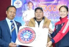 Photo of करातेकी एरिका गुरुङ तमु धी यूकेको सद्भावना दूत नियुक्त