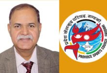 Photo of प्रदेश खेलकुद परिषद गण्डकीको सल्लाहकार संयोजकमा पराजुली
